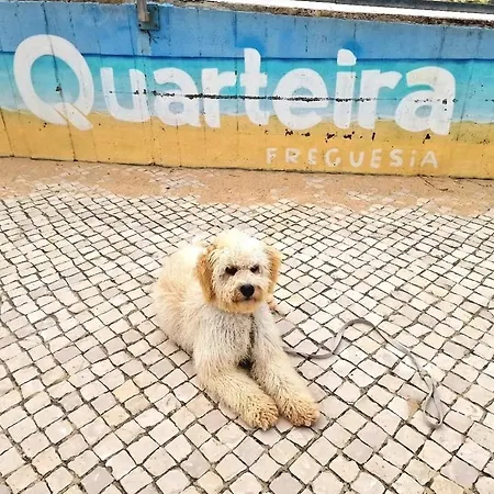 De